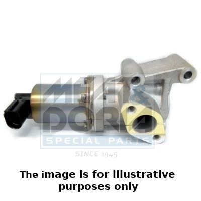 EGR Valve